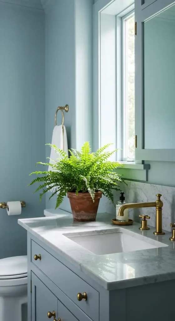 Pale Blue Painted Walls