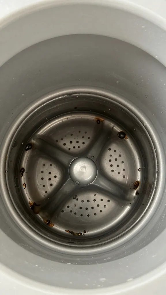 closeup of a clogged laundry drainbucket with slimy residue